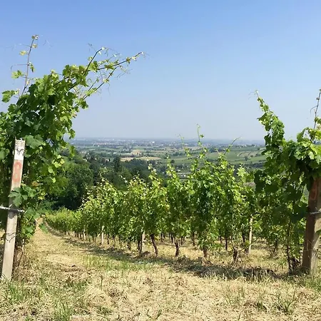 Tenuta Diavoletto Bertinoro