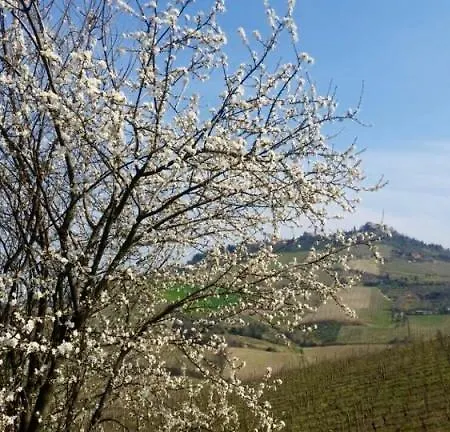 Tenuta Diavoletto Bertinoro